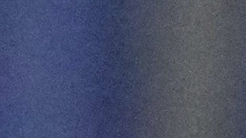 Fans Rayados de Monterrey.