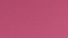 Francisca, presentadora de televisión.