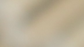 El jengibre fresco tiene un sabor suave y dulce más acorde con el sushi.