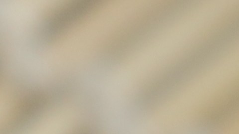 El jengibre fresco tiene un sabor suave y dulce más acorde con el sushi.