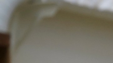 Gavin Newsom, gobernador de California