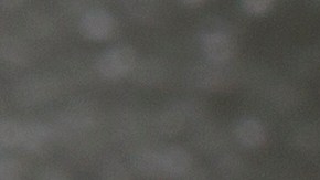 Getty Images y Shutterstock anuncian planes de fusión.