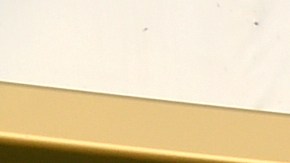 Este año los Golden Globes serán presentados por Nikki Glaser.