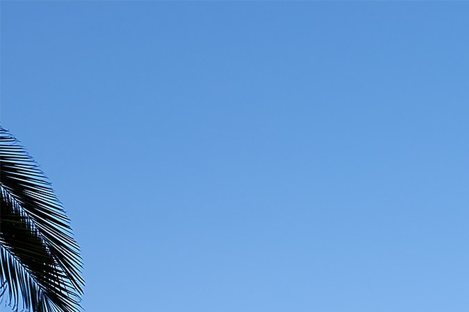 Hollywood Studios tendrá varias remodelaciones este 2025.