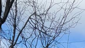 Reinas Magas protestan en oficinas de New Fortress de Nueva York