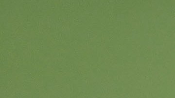 Alan Pulido espera apoyar a Chivas en su búsqueda del título de campeón de la Liga MX.