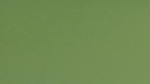 Alan Pulido espera apoyar a Chivas en su búsqueda del título de campeón de la Liga MX.