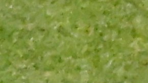 El América buscará una contundente victoria en el arranque del torneo Clausura 2025.