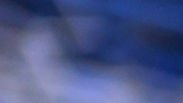 El delantero del Club América apuesta por un gran futuro de su compatriota en la selección.