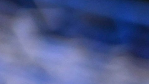 El delantero del Club América apuesta por un gran futuro de su compatriota en la selección.