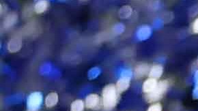 Las Águilas del América tras ganar el torneo Apertura 2024 de la Liga MX.