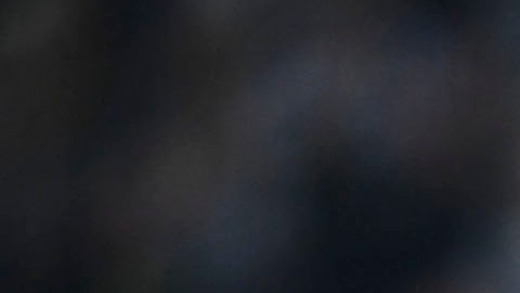 Brandon Vázquez dirá adiós a la Liga MX para regresar a la Major League Soccer.