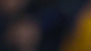 Veljko Paunovic habla sobre el futuro de Rafael Carioca en Tigres.