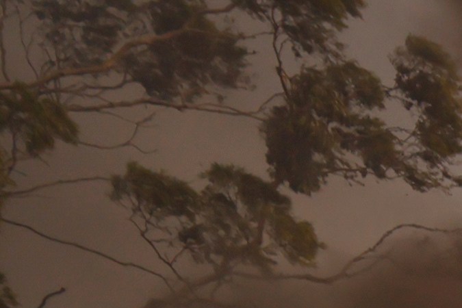 Incendios en Los Ángeles