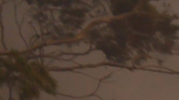 Incendios en Los Ángeles