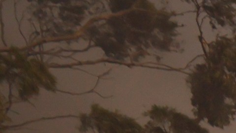 Incendios en Los Ángeles