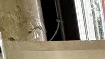 Jackeline Alzate participó en el evento realizado en el Supermercado C-Town.