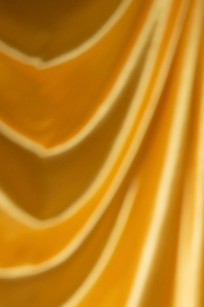 James Rodríguez, durante una sesión de fotos como nuevo refuerzo de Club León.