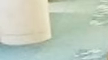 Piloto boricua Jonathan Campos murió en accidente aéreo en Washington