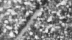 Juegos Olímpicos de Berlín 1936.