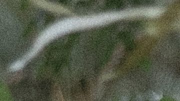 Julián Gil y Valeria Marín reunieron a sus familiares y amigos en Puerto Rico.