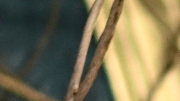 Justin Baldoni fue demandado por Blake Lively.