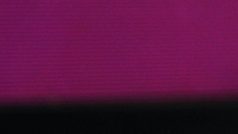 Laura Bozzo, presentadora peruana de televisión.