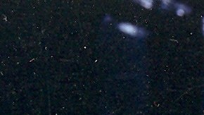 Laura Zapata y Thalía.