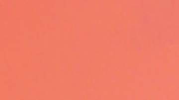 Lili Estefan, presentadora de televisión.