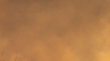 Tanya Charry habla de los incendios en Los Ángeles.