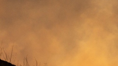 Tanya Charry habla de los incendios en Los Ángeles.