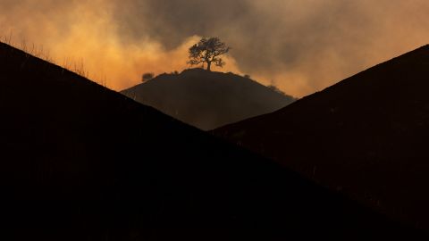 Tanya Charry habla de los incendios en Los Ángeles.