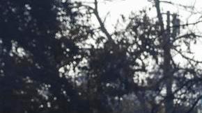 Una persona, que pidió no ser identificada, revisa los restos de la casa de su madre en Altadena, California, EE.UU., el 10 de enero de 2025.