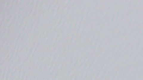 Se desconoce la causa de la muerte de Iliana de la Garza.