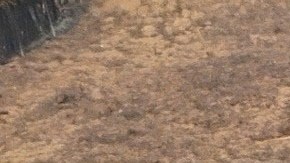 Paris Hilton asegura que su corazón se hizo añicos al ver el desastre.