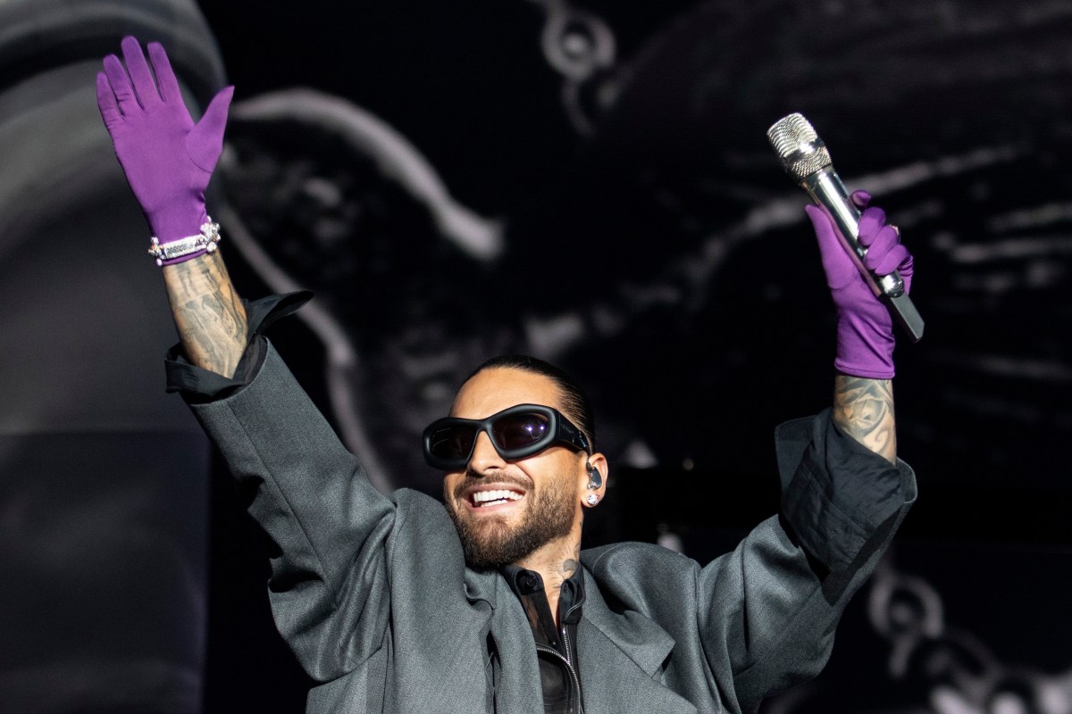 Reprograman festival Calibash 2025 debido a los incendios en Los Ángeles -  El Diario NY