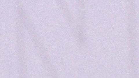 Maribel Guardia denunció a su nuera.