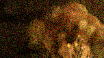 “Es una oportunidad no solo para compartir nuestra música, sino también para descubrir sonidos de todo el mundo y conectarnos con otras culturas”, dice Ramos (centro).