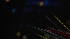 Miss Argentina Magalí Benejam.