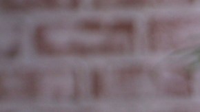 Victoria Kjaer Theilvig, Miss Universe 2024