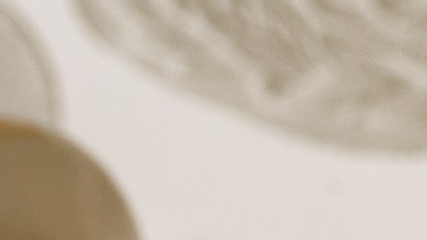 Monedas