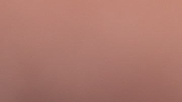 Las ostras que se retiran del mercado fueron recolectadas entre el 2 y el 17 de diciembre de 2024.