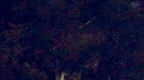 El incendio en Pacific Palisades comenzó el martes 7 de enero por la mañana.