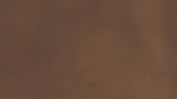 Paris Hilton quiere que sus hijos estén bien pese la tragedia.