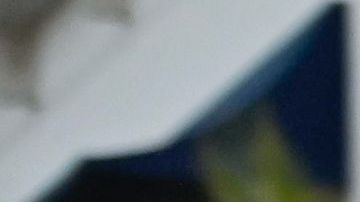 Kenia Os y Peso Pluma junto con Lele Pons y Winnie Harlow