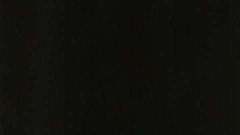 Hay diferentes tipos de polvos de hornear que tienen variedad de sales ácidas de levadura.