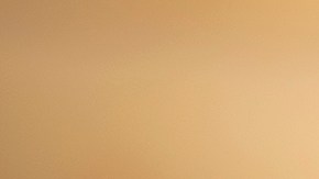 Un socio minoritario se percató del ingrediente no declarado en la mezcla para panquecas.