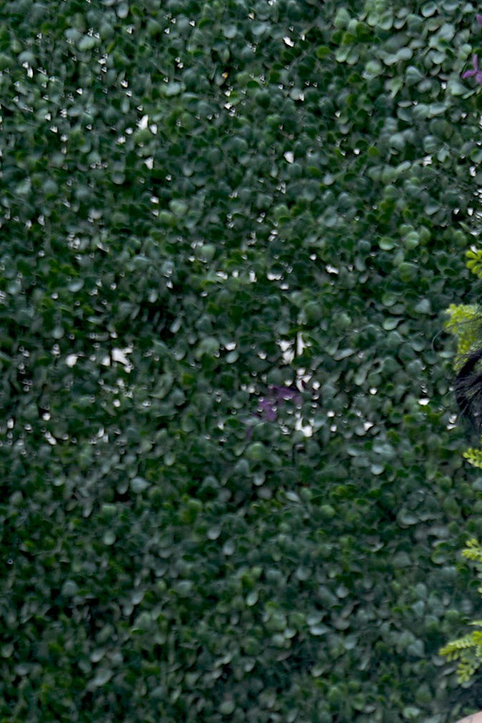 Romina Marcos no le ha respondido a su expareja sentimental.