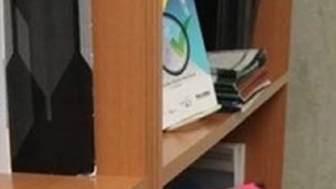 Se desconocen mayores detalles sobre las circunstancias de su liberación.