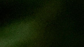 Selena Gomez condenó deportaciones masivas.